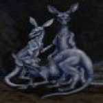 thumb_1100 (Medium).jpg